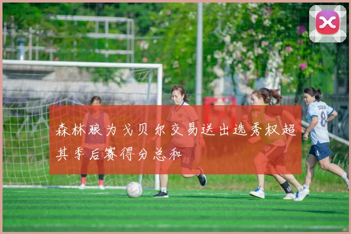 森林狼为戈贝尔交易送出选秀权超其季后赛得分总和